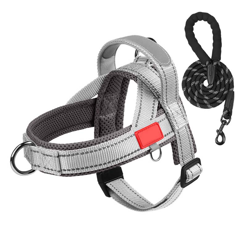 Hundegeschirr + kostenloses Band 1,5 m x 1,0 m