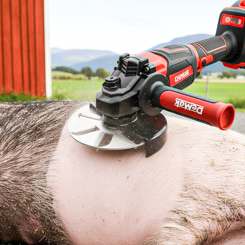 Arbeitserleichternde Scheibe zum Entfernen von Schweinehaaren