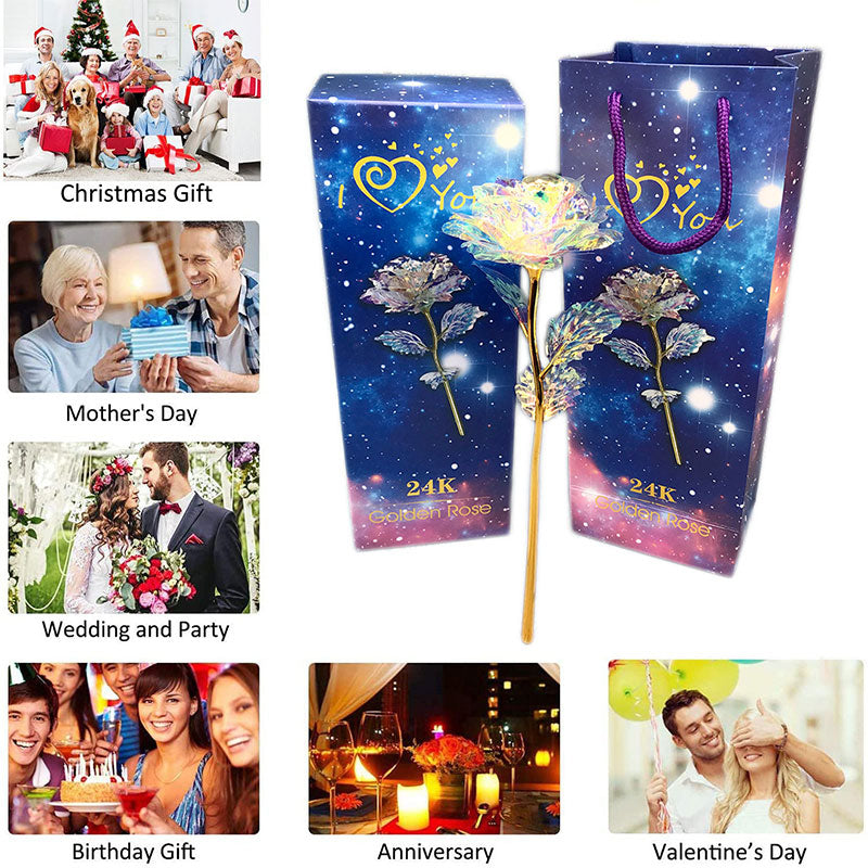 24K Bunte Galaxie-Rose