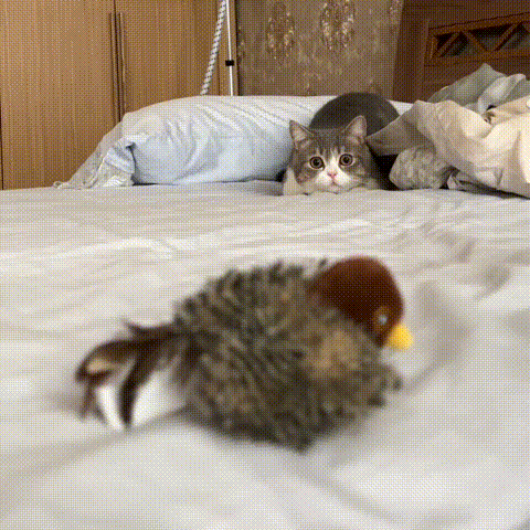 Simulation flatternde Flügel Katze elektrisches Spielzeug