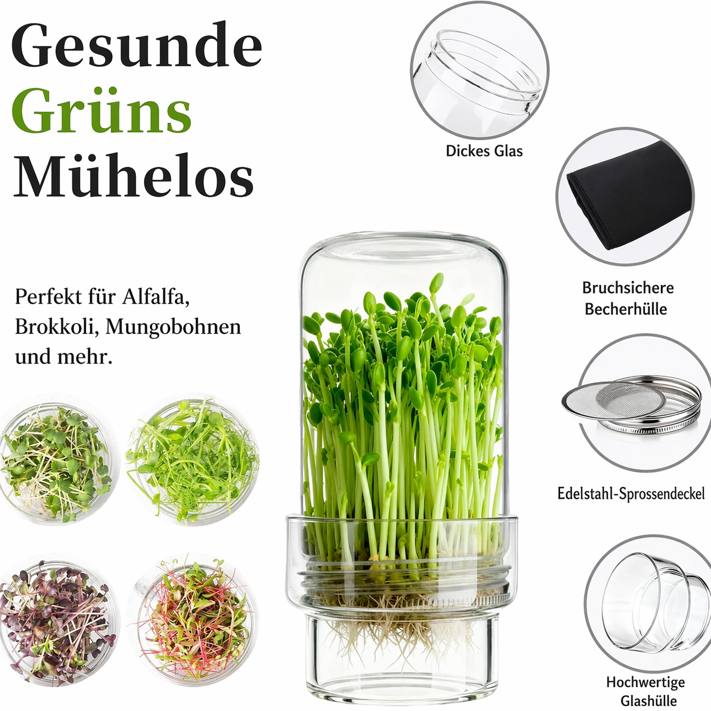 🥦 Aktualisiertes Keimset – Keimgläser-Sets