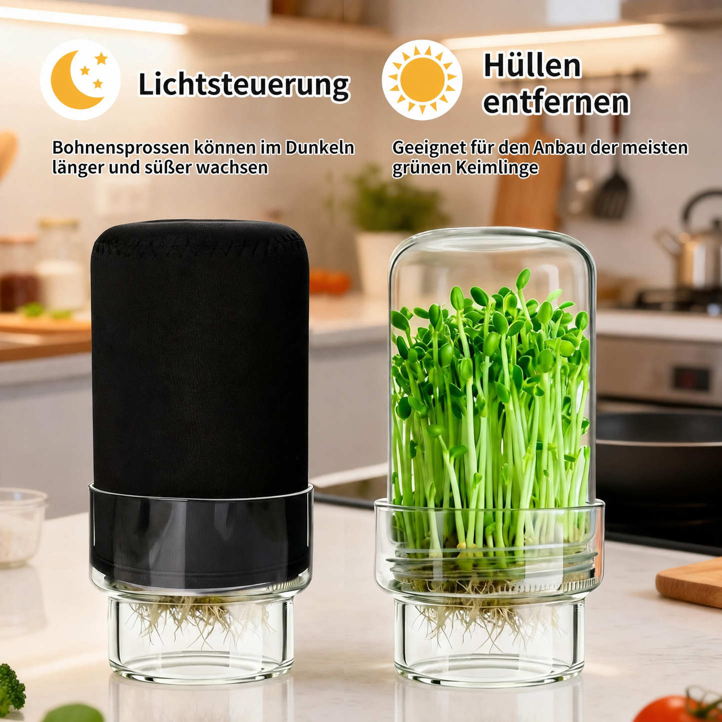 🥦 Aktualisiertes Keimset – Keimgläser-Sets