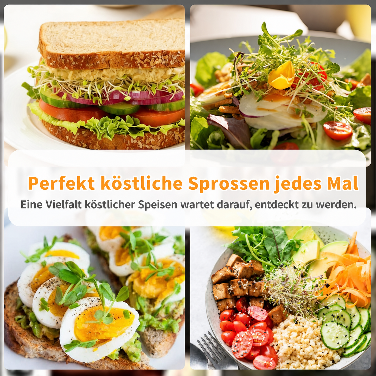 🥦 Aktualisiertes Keimset – Keimgläser-Sets