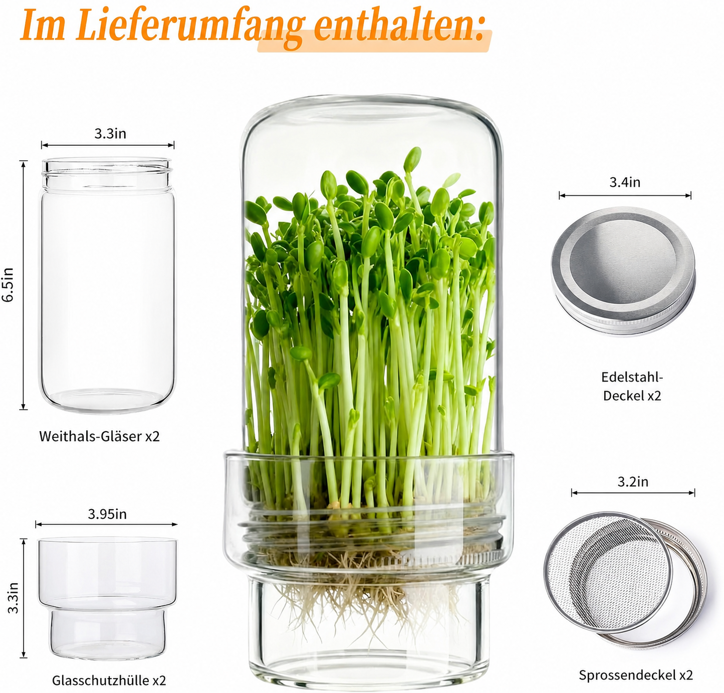 🥦 Aktualisiertes Keimset – Keimgläser-Sets