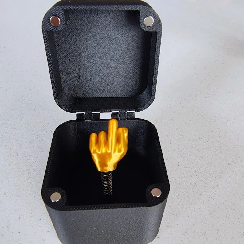 🎁Mittelfinger in einer Box