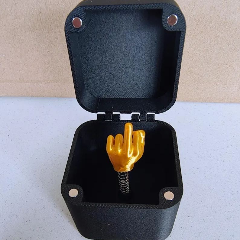 🎁Mittelfinger in einer Box