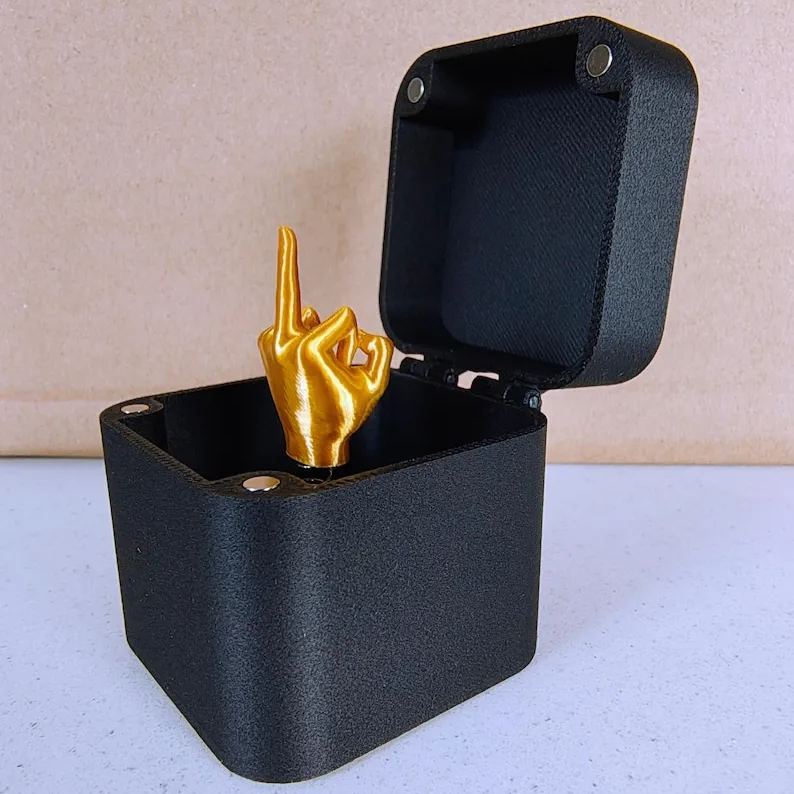 🎁Mittelfinger in einer Box