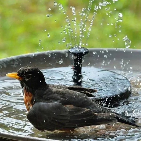 ⏳Zeitlich begrenztes Sonderangebot⏰Kompakte Solar-Vogelbrunnenpumpe – Beleben Sie Ihren Garten! 🐦️