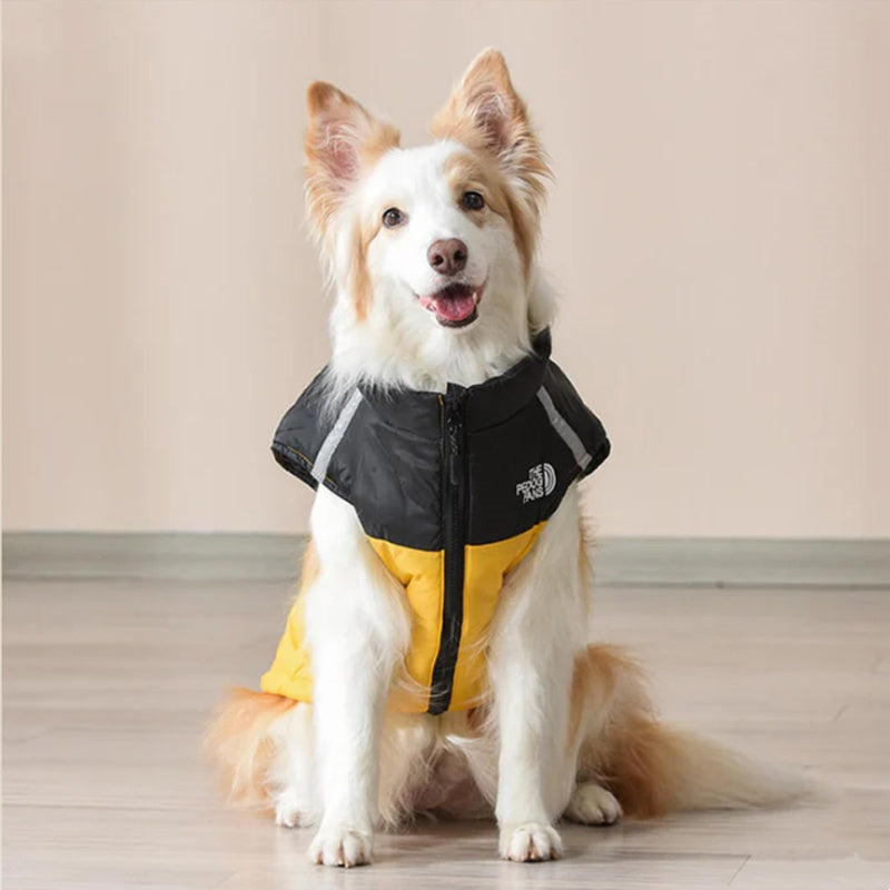 🐶Wasserdichter, winddichter Wintermantel für Hunde
