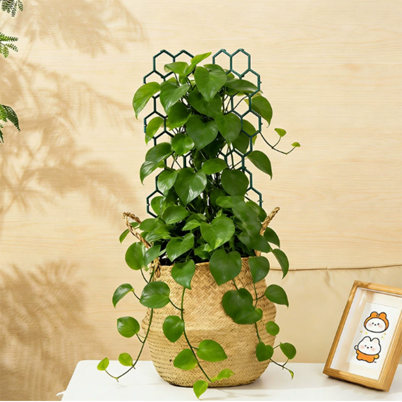 🌿 Wabenförmiges Rankgitter für Pflanzen – rostfrei, stapelbar, einfach zu montieren 🐝